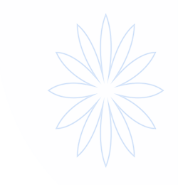 lewin乐玩·(中国)